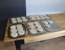 burgermeister  