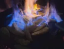 grillkurs malsch