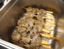 cola bbq  