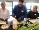 pasta selber machen  