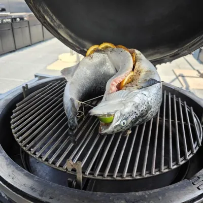 smoker kurs 2026  7 