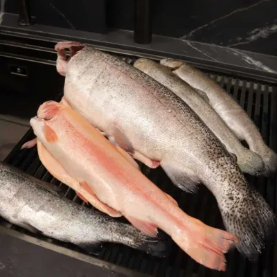 fisch zerlegen  