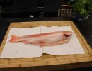 fisch zerlegen  