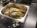 fisch zerlegen  