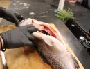 fisch zerlegen  