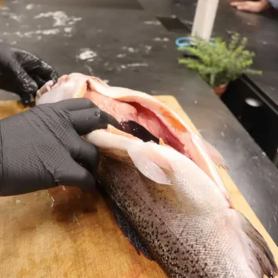 fisch zerlegen  